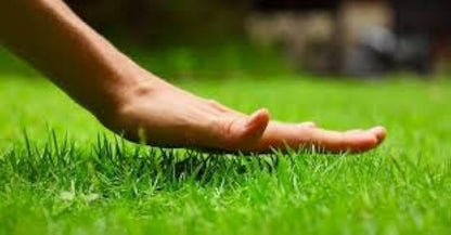10433