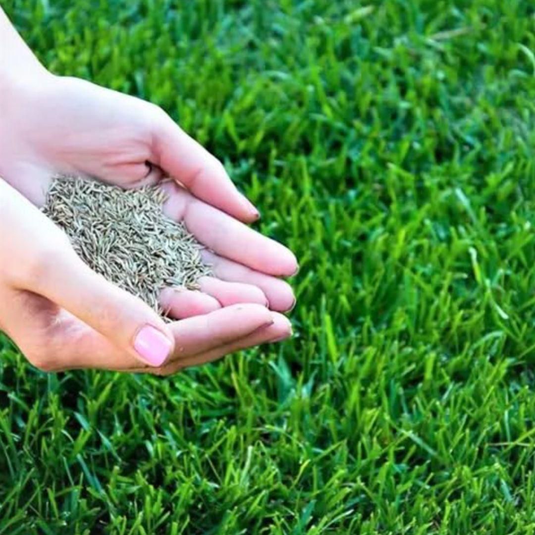 10433